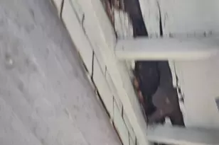 1719 N Payson St, Baltimore, MD 21217 - Photo 42