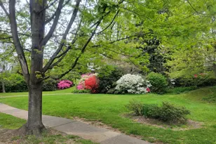 5211 Springlake Way, Baltimore, MD 21212 - Photo 6