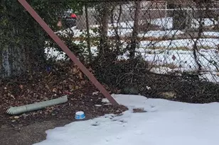 3202 Presbury St, Baltimore, MD 21216 - Photo 74