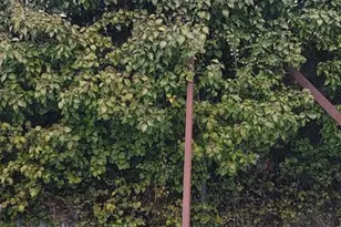 3202 Presbury St, Baltimore, MD 21216 - Photo 72