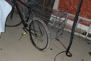 3202 Presbury St, Baltimore, MD 21216 - Photo 40