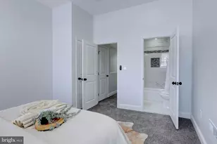 1729 Braddish Ave, Baltimore, MD 21216 - Photo 22