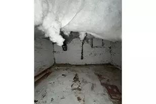 1609 Lemmon St, Baltimore, MD 21223 - Photo 12