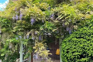 414 Old Orchard Rd, Baltimore, MD 21229 - Photo 80