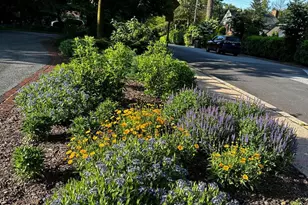 13 Tamworth Rd, Baltimore, MD 21210 - Photo 48