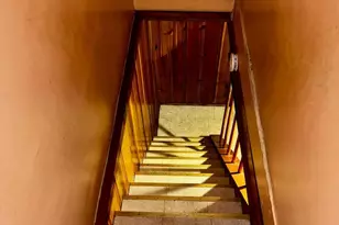 3709 Columbus Dr, Baltimore, MD 21215 - Photo 20