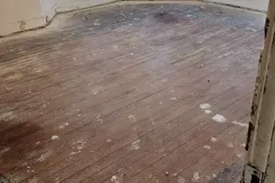 4102 Groveland Ave, Baltimore, MD 21215 - Photo 4