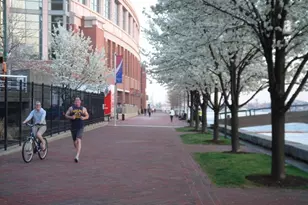 250 President St, Baltimore, MD 21202 - Photo 24