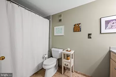 250 President Street S #909, Baltimore, MD 21202 - Photo 32