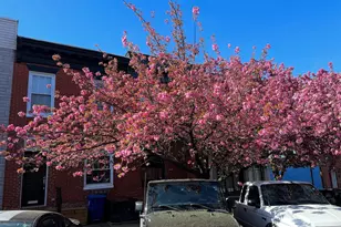 2113 Bank St, Baltimore, MD 21231 - Photo 36