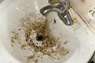 5819 Belair Rd, Baltimore, MD 21206 - Photo 6