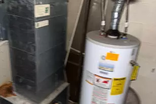 5516 Seward Ave, Baltimore, MD 21206 - Photo 4