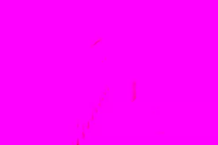 1017 McDonogh St, Baltimore, MD 21205 - Photo 30