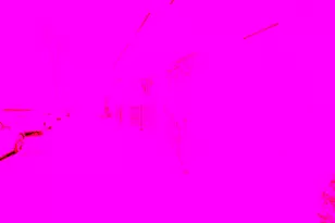 1017 McDonogh St, Baltimore, MD 21205 - Photo 4