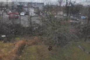 3538 Virginia Ave, Baltimore, MD 21215 - Photo 18