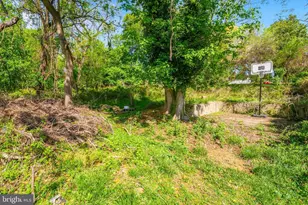 202 S Athol Ave, Baltimore, MD 21229 - Photo 36