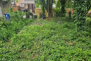 4231 Euclid Ave, Baltimore, MD 21229 - Photo 4