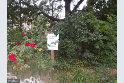 2012 Mount Royal #3, Baltimore, MD 21217 - Photo 42