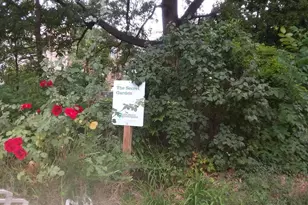 2012 Mount Royal, Baltimore, MD 21217 - Photo 42