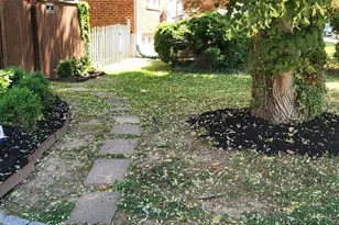910 Dartmouth Rd, Baltimore, MD 21212 - Photo 2