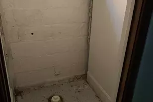 133 Denison St, Baltimore, MD 21229 - Photo 14