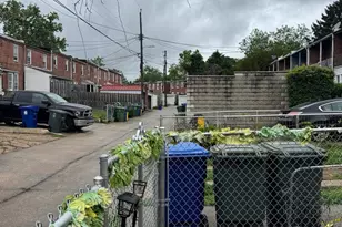 3217 Ramona Ave, Baltimore, MD 21213 - Photo 44