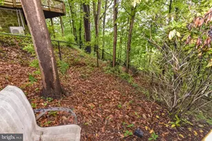 24 Merrymount Rd, Baltimore, MD 21210 - Photo 46