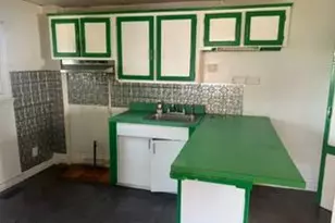 1517 N Decker Ave, Baltimore, MD 21213 - Photo 6