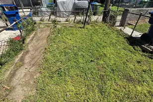 1221 N Decker Ave, Baltimore, MD 21213 - Photo 4