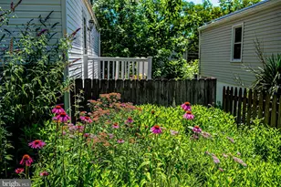 3903 White Ave, Baltimore, MD 21206 - Photo 54