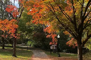 2938 Miles Ave, Baltimore, MD 21211 - Photo 34