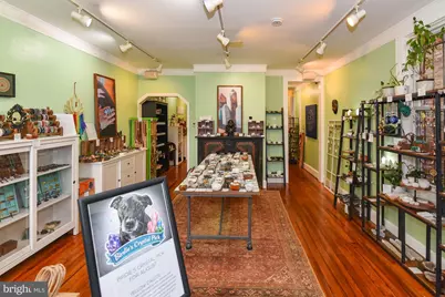 3545 Chestnut Avenue, Baltimore, MD 21211 - Photo 4