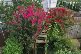 120 W 27th St, Baltimore, MD 21218 - Photo 38