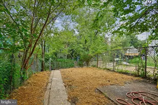 806 Stoll St, Baltimore, MD 21225 - Photo 4