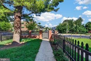 3802 Greenmount Ave, Baltimore, MD 21218 - Photo 4