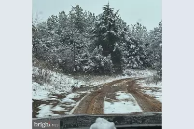 Mt Alto Road, Esmont, VA 22937 - Photo 1