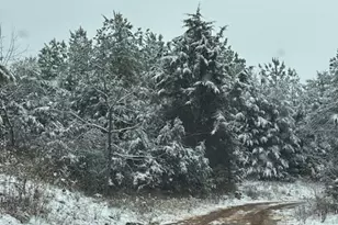 Mt Alto Rd, Esmont, VA 22937 - Photo 1