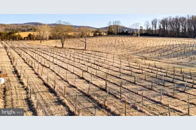 4500 Winery Lane, Barboursville, VA 22923 - Photo 14