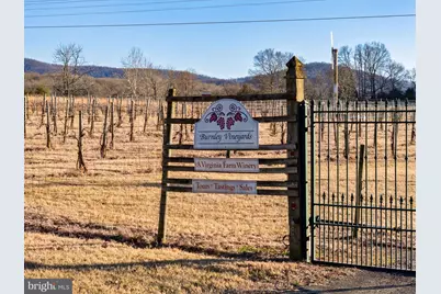 4500 Winery Lane, Barboursville, VA 22923 - Photo 2