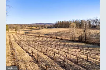 4500 Winery Lane, Barboursville, VA 22923 - Photo 8