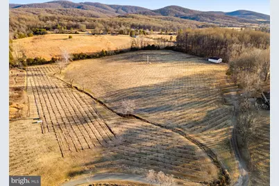 4500 Winery Lane, Barboursville, VA 22923 - Photo 16