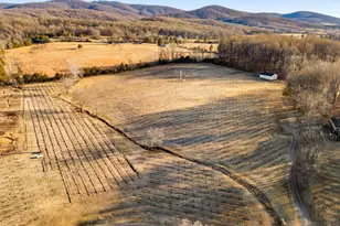 4500 Winery Ln, Barboursville, VA 22923 - Photo 16