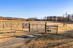 4500 Winery Ln, Barboursville, VA 22923 - Photo 10
