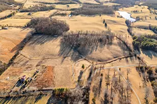 4500 Winery Ln, Barboursville, VA 22923 - Photo 4