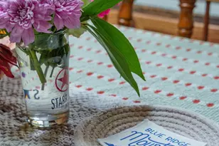 3169 Millie Ln, Charlottesville, VA 22911 - Photo 22