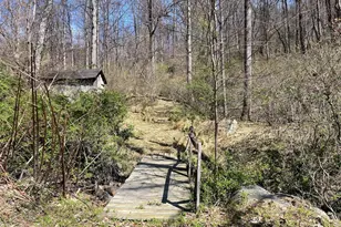 4100 Heards Ln, Afton, VA 22920 - Photo 6