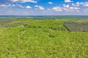 845 Raccoon Ridge Rd, Scottsville, VA 24590 - Photo 6