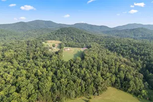 2236 Craigs Store, Afton, VA 22920 - Photo 74