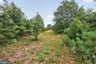 7066 Fortune Ln, Keene, VA 22946 - Photo 44