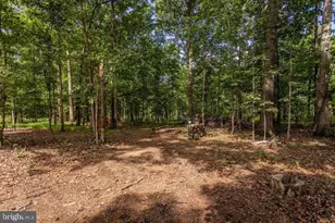 55 Burke's Mill Rd, Weyers Cave, VA 24486 - Photo 74
